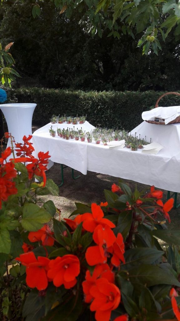 Le jardin de l'hôtel Solemonti