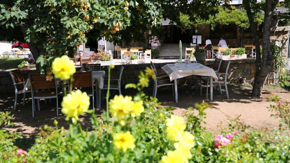 le jardin de l'hôtel Solemonti à Quenza